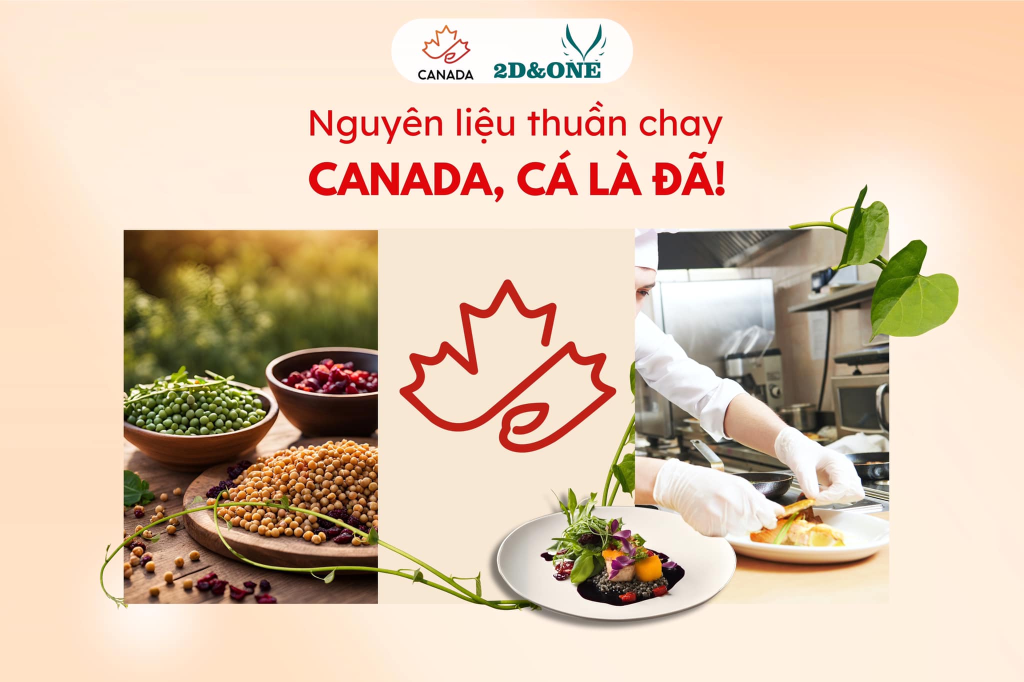 2d-one-dong-hanh-dai-su-quan-canada-to-chuc-chuoi-workshop-cuoc-thi-nguyen-lieu-thuan-chay-canada-ca-la-da-tai-trung-tam-dao-tao-nghe-koto